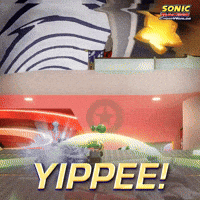Sega Sonic Racing GIF by Sonic the Hedgehog