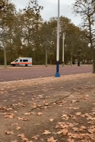 Area Around Buckingham Palace Evacuated by Police Inspecting 'Suspicious Vehicle'