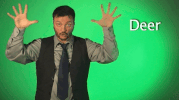 sign language deer GIF by Sign with Robert