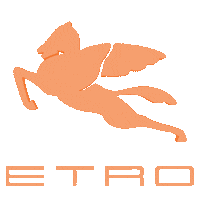 Fashion Show Milan Sticker by Etro