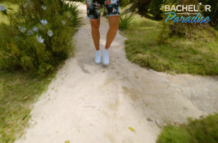 bachelorinparadiseau giphyupload love island bachelor GIF