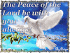 peace christian GIF