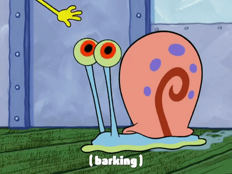 season 4 episode 13 GIF by SpongeBob SquarePants