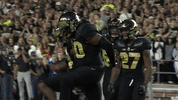 Football Jeffbrohm GIF by Purdue Sports