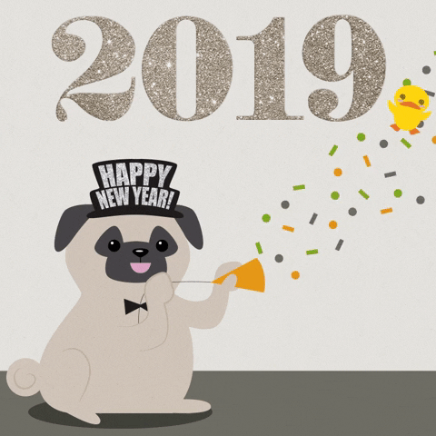 Digital art gif. It's 2019 and a pug wearing a "Happy New Year" crown pulls a confetti popper and confetti flies out before slowly descending on the floor. 