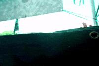 Ec GIF