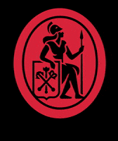 gsomspbu spbu gsom спбгу вшм GIF