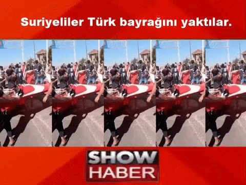 Chp Recep GIF