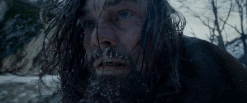 the revenant GIF