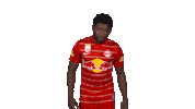 Red Bull Duty Sticker by FC Red Bull Salzburg