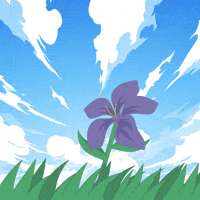 Flower GIF
