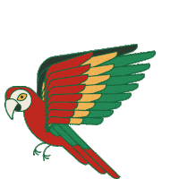 Kakawcoplus flying social colombia parrot Sticker