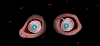 liamnorbury eyes dream watching flashing GIF