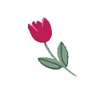 Tulip Sticker