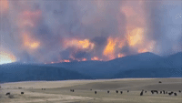 Smoke Cloud Towers Over Central Montana as South Moccasin Fire Explodes in Size
