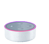 Amazon Echo Alexa Sticker by Fergie design