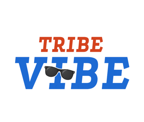 Tribe_Stays giphyupload vibe tribe tribe vibe Sticker
