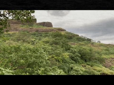 GIF by Good Stuff