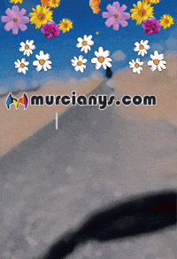 Descubrir La Vida GIF by Murcianys LLC