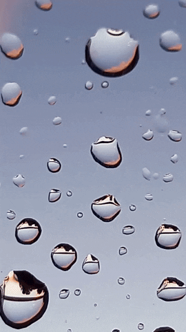 Simongip giphyupload GIF