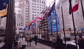 new york GIF
