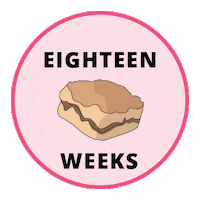 Pregnancy Baby Size Sticker by Bump Boxes