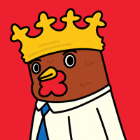 COQINU coq bok bokbok coqinu GIF