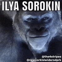 New York Islanders Hockey GIF