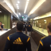 lavsj GIF by LA Galaxy