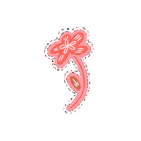 jendoodles summer pink kawaii flower Sticker
