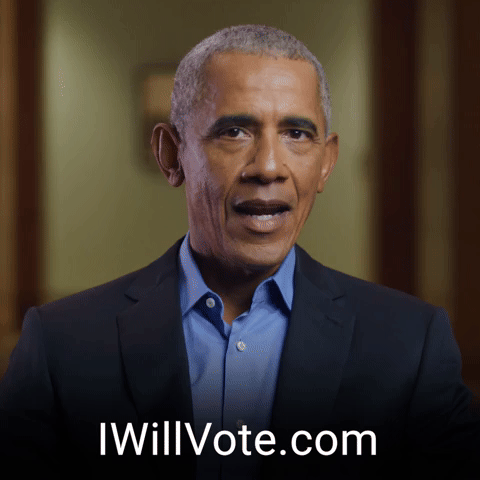IWillVote.com