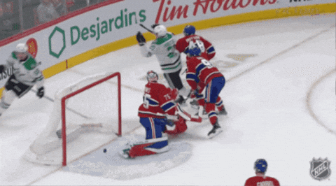 Dallas Stars Goal GIF by NHL