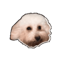 plugoo ecommerce lili loja virtual plugoo Sticker