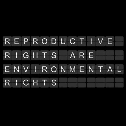 Voting Rights Abortion GIF by INTO ACTION