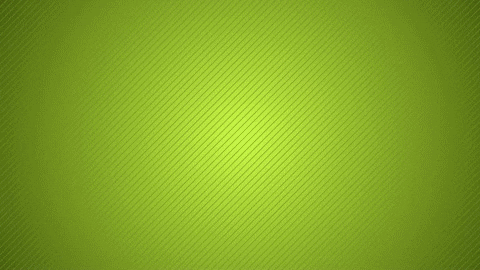 celebrate happy birthday GIF