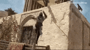 Assassinscreed GIF by Ubisoft
