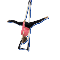 Cirque Circuslife Sticker by CT Aerial Yoga