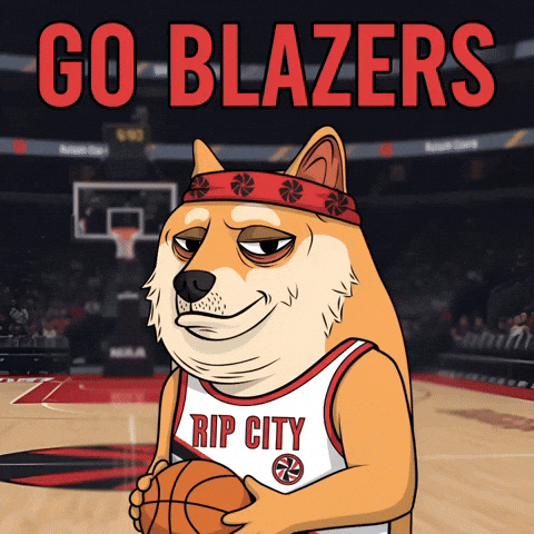 Shiba Inu Basketball GIF by Doge Pound