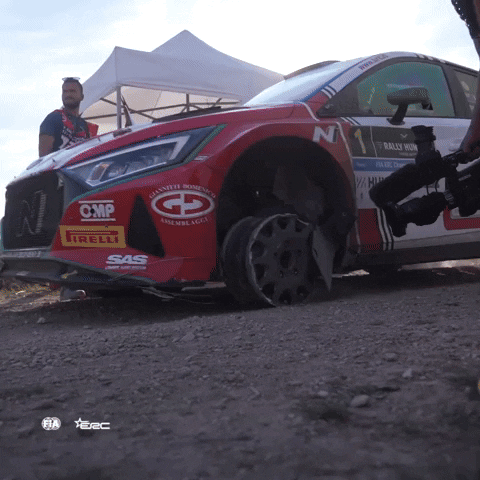 Car Video GIF by FIA European Rally Championship