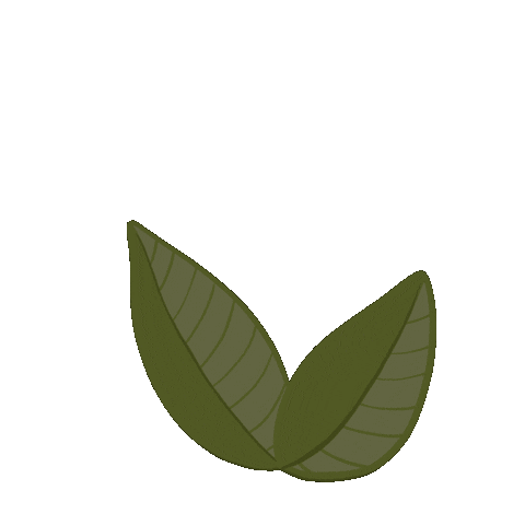 Twigrazor Sticker by Leaf Shave