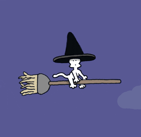 Halloween Witch GIF by Chippy the Dog