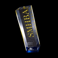 SMHBA look winner trophy winners GIF
