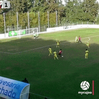 football soccer GIF by mycujoo