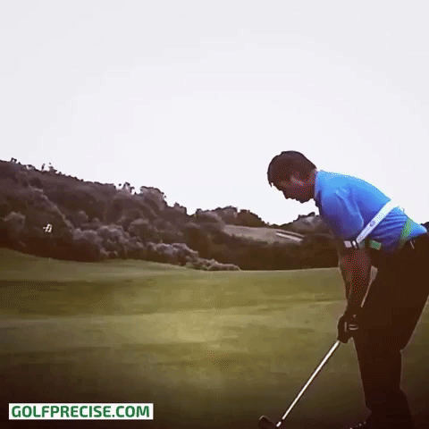 golfing hole in one GIF