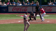 Pitching Blue Jays GIF by Sorry We're Closed