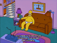 homer simpson episode 3 GIF
