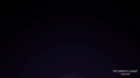 Espresso Quiz GIF by The Barista League