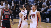Lets Go Yes GIF by NBA