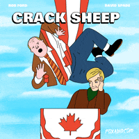 Rob Animation Domination GIF by gifnews