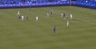 save andre blake GIF by Philadelphia Union